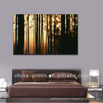 Beeindruckender Sonnenaufgang Wald Bild Leinwand drucken